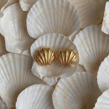 Button Jewelry Shell